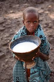 Afar Milk: A Symbol of Hospitality - 3